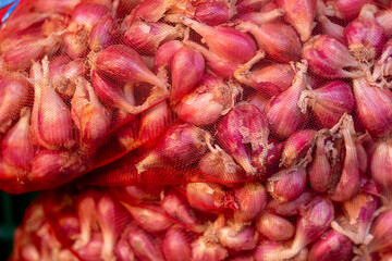 Obraz premium Fresh Garlic at Dihua Street Market