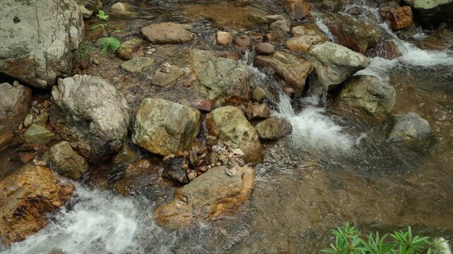 Clear stream flowing over small rocks in a lush forest. Freshwater sustains life and nature while highlighting water conservation biodiversity and environmental protection for a sustainable future.
