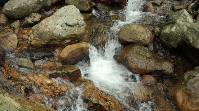 Clear stream flowing over small rocks in a lush forest. Freshwater sustains life and nature while highlighting water conservation biodiversity and environmental protection for a sustainable future.
