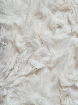 Close-up of long-haired, off-white Mongolian Faux Fur fabric. Soft Mongolian style synthetic fur fabric surface, made from a blend of acrylic and polyester fibers, as a substitute for real animal fur.