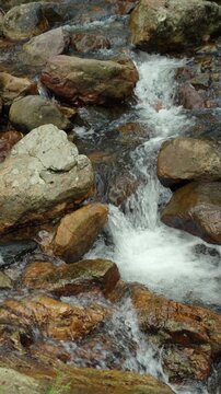 Clear stream flowing over small rocks in a lush forest. Freshwater sustains life and nature while highlighting water conservation biodiversity and environmental protection for a sustainable future.
