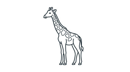 Fototapeta premium Outline Giraffe Illustration Isolated on Transparent Background