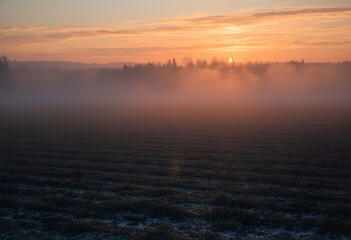 Obraz premium Fog over field snow dusted landscape long shadows at dusk