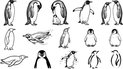 Vintage penguin sketch collection featuring emperor penguins with chicks swimming birds line outlines and abstract wildlife tattoo silhouettes © MdMunnarul