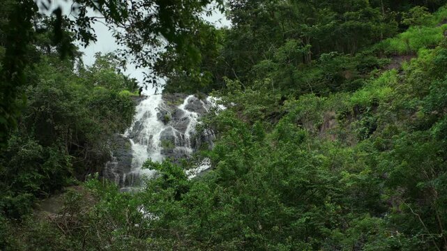 Beautiful waterfall flowing through a lush forest. The natural water source highlights clean water, nature conservation and biodiversity while supporting a healthy ecosystem and sustainable future.
