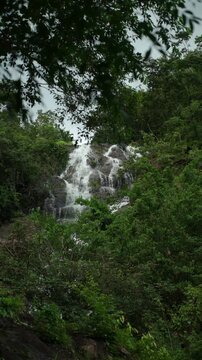 Beautiful waterfall flowing through a lush forest. The natural water source highlights clean water, nature conservation and biodiversity while supporting a healthy ecosystem and sustainable future.
