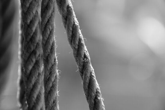 Detalle de cuerdas fotografiadas en blanco y negro.