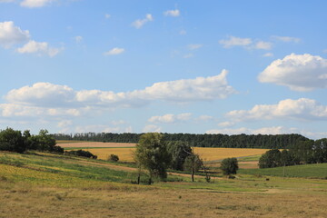 Naklejka premium Picturesque rural landscape with rolling green hills, lush trees, and open fields under a sunny sky with fluffy clouds