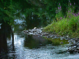 rocks along th river bank © E.E.Tremper