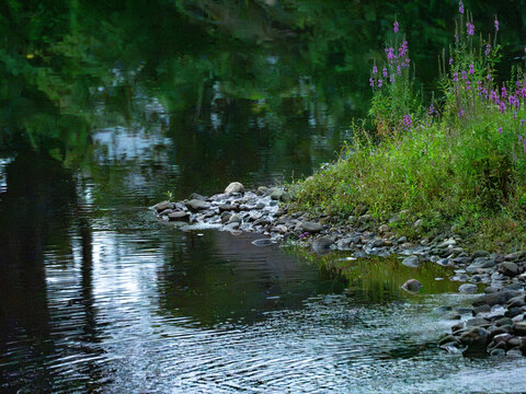 rocks along th river bank