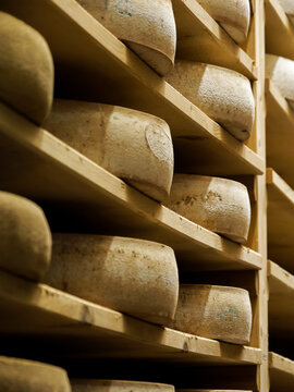 Meules de Comt&eacute; AOP align&eacute;es sur des planches en bois dans une cave d&rsquo;affinage du Jura