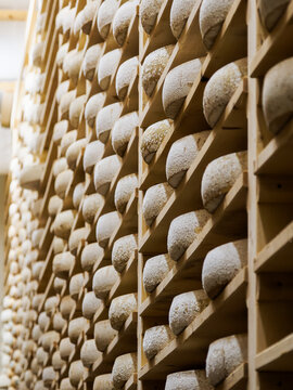 Meules de Comt&eacute; AOP align&eacute;es sur des planches en bois dans une cave d&rsquo;affinage du Jura