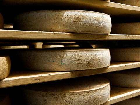 Meules de Comt&eacute; AOP align&eacute;es sur des planches en bois dans une cave d&rsquo;affinage du Jura