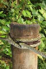 Weathered wooden post tied with thick rope amidst lush greenery. © Miroslav