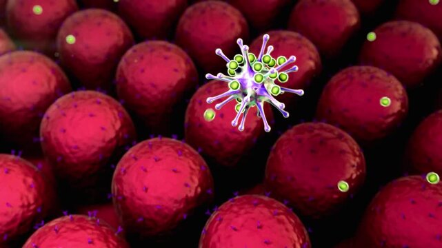 Microscopic animation showing virus or bacteria attacking intestinal villi in the human gut virus attack bacteria infection gut microbiome pathogen infection microbiology