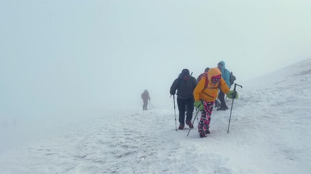 Tourist group ascending uphill on Mount Ararat during storm wind and snow, showing guided summit push, extreme weather trekking, teamwork, endurance, and alpine expedition challenge