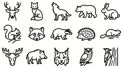 Obraz premium Forest animals collection outline icon set, 15 vector illustrations of bear, deer, wolf, fox, rabbit, squirrel, hedgehog, badger, beaver, wild boar, owl and woodpecker, doodle style