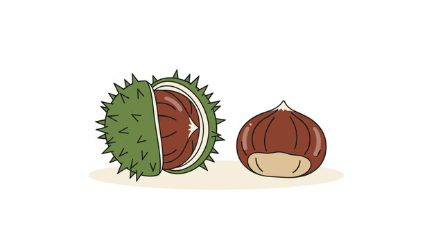 Two brown chestnuts with one partially enclosed inside its open green spiky husk shell on a beige ground.
