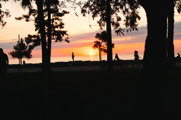 Fototapeta premium Sunset silhouette of people outdoors along a beach by water, warm sky and calm horizon on soft sand and gentle breeze