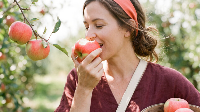 Young woman tasting fresh apple in an orchard on a sunny day  