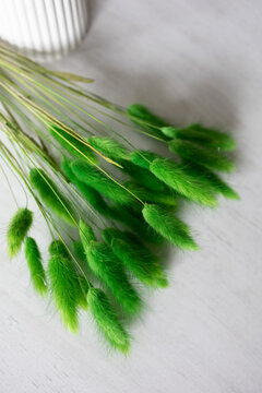 Bright green fox tails rest on soft white surface