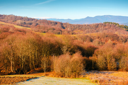 beautiful autumn forenoon in mountains. trees on a hill in fall colors. wonderful countryside landscape of Ukraine on a sunny weather