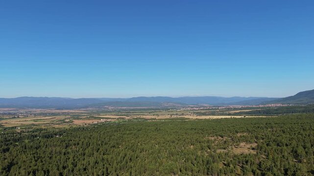 Aerial drone flyover showing a dense pine forest Pirin Bulgaria