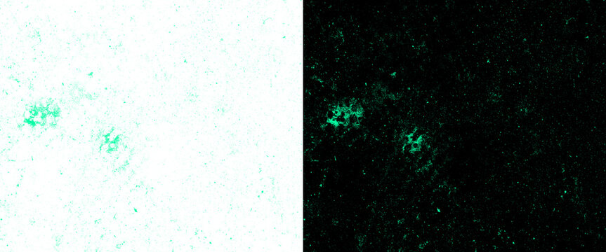 Abstract bioluminescent texture with glowing green particles. Microscopic neon light effect on dark and white backgrounds. Scientific digital art.