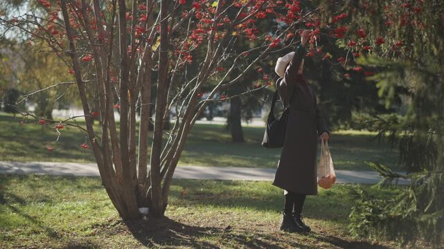 Woman in long coat and hat stands near trees with red berries reaching for branches. Woman holds bags including one containing oranges under soft sunlight on grassy park ground. scene
