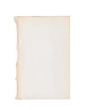 Vintage Page from Paper Book Texture with Torn Edge
