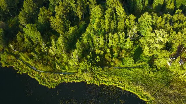 Aerial view of a nature shoreline path in a park in Finland, H&auml;meenlinna