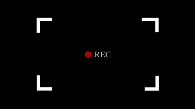 Digital camera recording viewfinder overlay with blinking rec dot