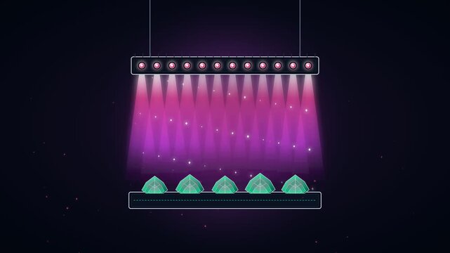 Futuristic vertical farming concept with plants growing under purple LED grow lights in indoor facility