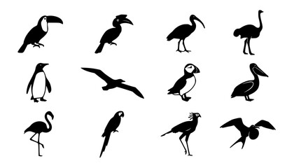 Naklejka premium Exotic Coastal Bird Species and Avian Wildlife Silhouette Vector Set
