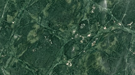 Naklejka premium Dark green marble stone texture with intersecting white veins and mineral inclusions
