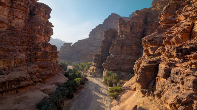High Angle Landscape View of Massive Sandstone Canyon Gorge with Winding Desert Track and Date Palm Trees in Wadi Al Disah, Tabuk, Saudi Arabia
