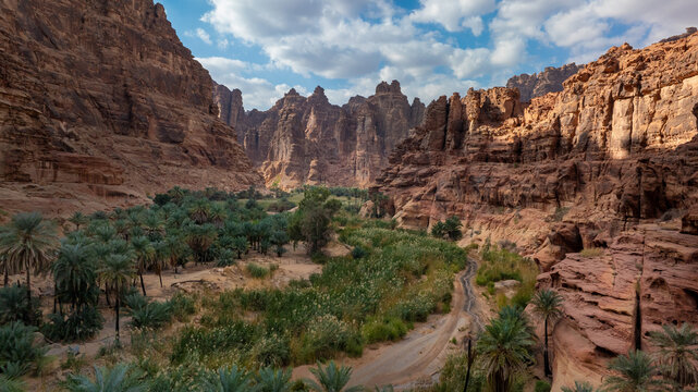 High Angle Wide Landscape View of Lush Green Date Palm Oasis and Winding Dirt Road in Canyon Valley, Wadi Al Disah, Tabuk, Saudi Arabia
