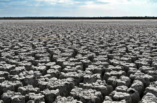 dried out lake in Velence, Hungary. bone dry silky clay riverbed. huge cracks. perspective view. brown reed at the horizon. environmental issues, global warming, drought and environmental disaster