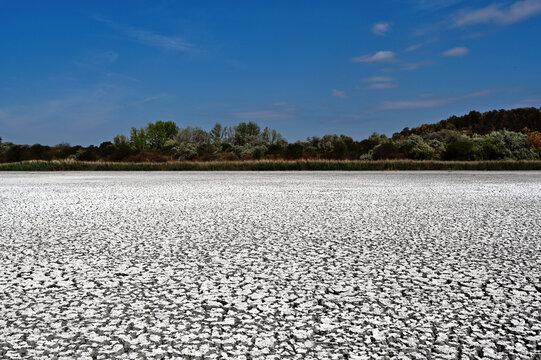 dried out lake in Velence, Hungary. bone dry silky clay riverbed. huge cracks. perspective view. brown reed at the horizon. environmental issues, global warming, drought and environmental disaster