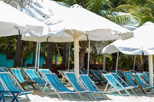 Beachside scene featuring striped lounge chairs in blue and white, positioned under large umbrellas, with palm trees and a vibrant tropical background enhancing the relaxing atmosphere