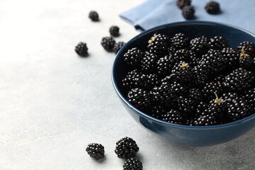 Ripe blackberries in bowl and towel on light grey table, closeup. Space for text © New Africa