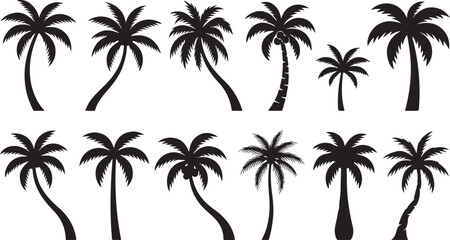 Fototapeta premium Set of black silhouette featuring various types of palm trees with different shapes and sizes isolated on a white background