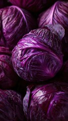 Obraz premium Vibrant purple cabbage close-up: freshness and texture in organic vegetables