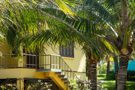 Yellow house with stairs surrounded by palm trees and lush greenery in a tropical setting, sunlight filtering through the leaves. Vacation house. Life near the ocean