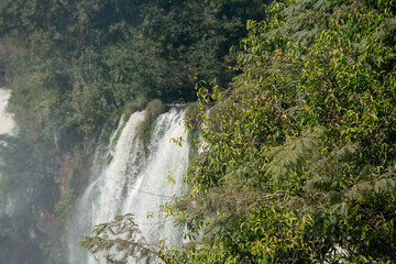 Multiple cascades of Iguazu Falls rising through mist and dense Atlantic Forest in South America © TC2412