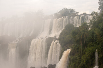 Multiple cascades of Iguazu Falls rising through mist and dense Atlantic Forest in South America © TC2412