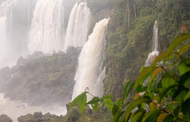 Multiple cascades of Iguazu Falls rising through mist and dense Atlantic Forest in South America © TC2412