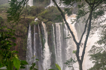 Multiple cascades of Iguazu Falls rising through mist and dense Atlantic Forest in South America © TC2412