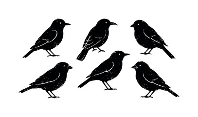 Naklejka premium Six black bird silhouettes with a textured, linocut style on white