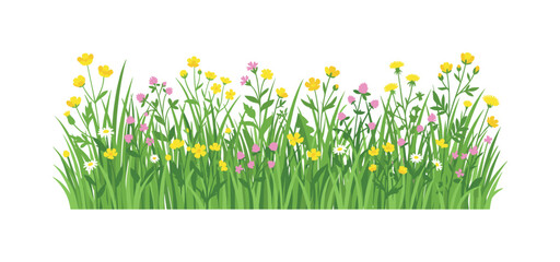 Naklejka premium Vibrant meadow with yellow buttercups and pink clover flowers in lush green grass